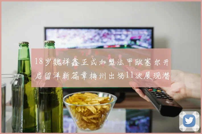 18岁魏祥鑫正式加盟法甲欧塞尔开启留洋新篇章梅州出场11次展现潜力