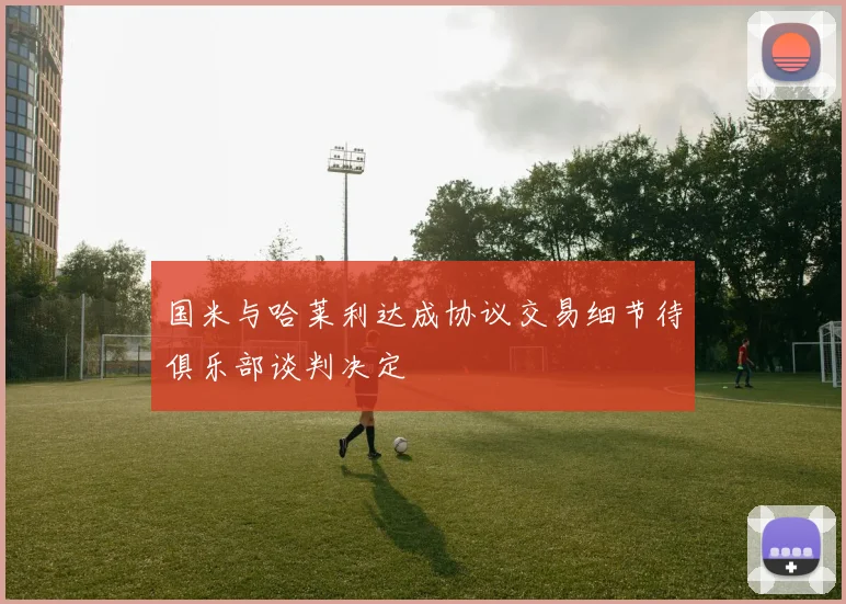 国米与哈莱利达成协议交易细节待俱乐部谈判决定